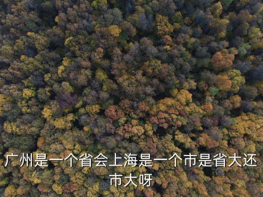廣州是一個省會上海是一個市是省大還市大呀