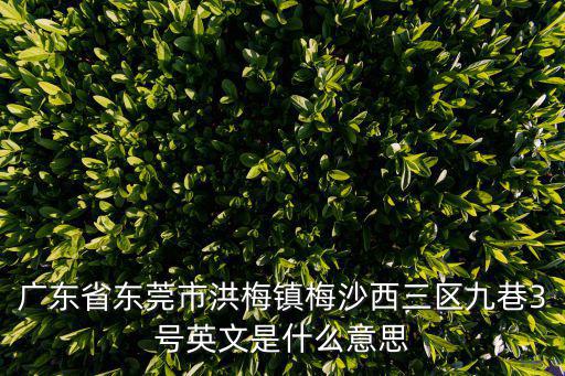 廣東省東莞市洪梅鎮梅沙西三區九巷3號英文是什么意思