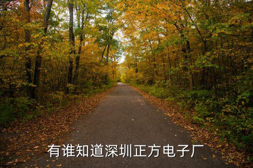 有誰知道深圳正方電子廠