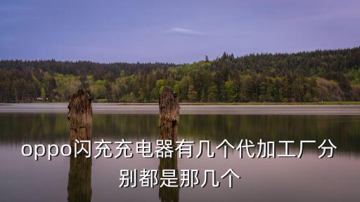 東莞手機充電器廠惠州睿德廠，東莞常平汽車站怎么坐車到惠州市惠陽區(qū)秋長白石村伯恩光學有限公司