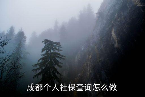成都市社保網站查詢，成都個人社保查詢怎么做