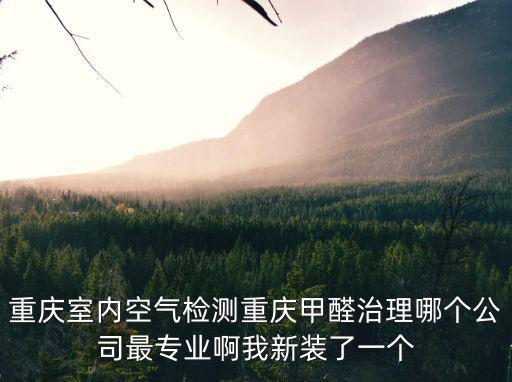 重慶室內(nèi)空氣檢測(cè)重慶甲醛治理哪個(gè)公司最專業(yè)啊我新裝了一個(gè)