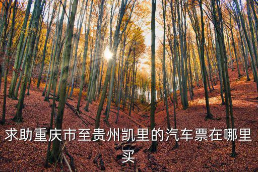重慶市到貴州凱里的汽車票，求助重慶市至貴州凱里的汽車票在哪里買