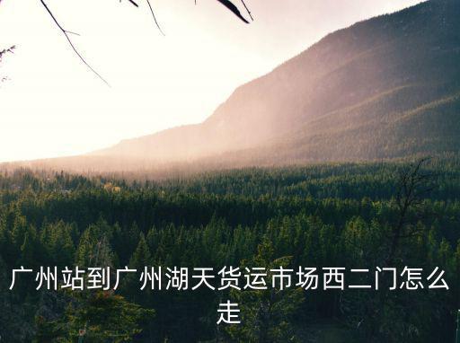 廣州站到廣州湖天貨運市場西二門怎么走