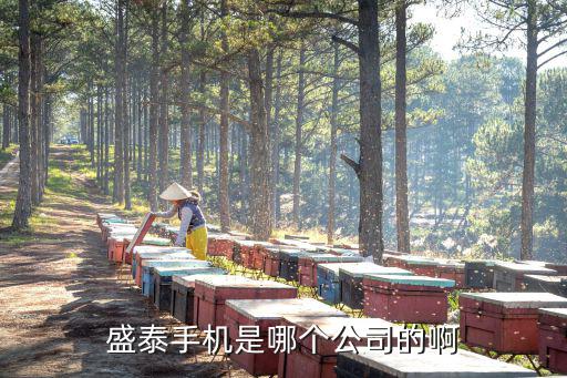 盛泰手機是哪個公司的啊