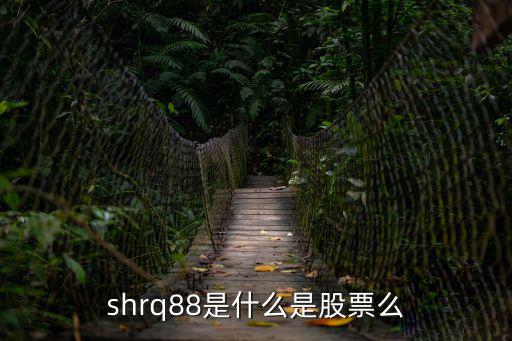 上海市場國債，上海浦東打造用的是股票期貨還是國債