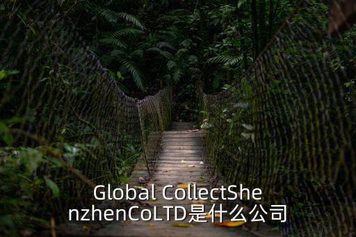 深圳安聯環球貨運有限公司，Global CollectShenzhenCoLTD是什么公司