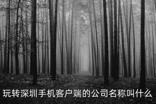 深圳掌夢科技，深圳市萬恒科技是做什么的是否是真實的