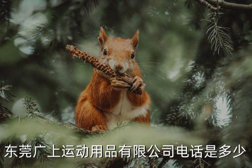 東莞寮步飛黃運動用品廠，東莞廣上運動用品有限公司廣州東莞寮步鎮華南工業園做的都是正品嗎