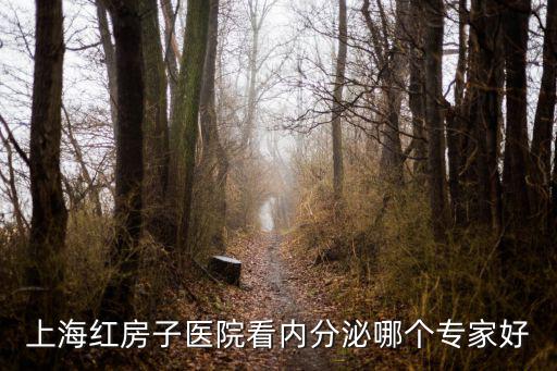 上海紅房子醫院看內分泌哪個專家好