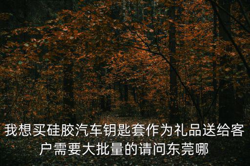 我想買硅膠汽車鑰匙套作為禮品送給客戶需要大批量的請問東莞哪