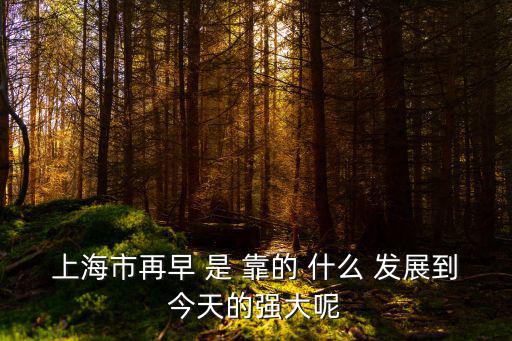 上海市再早 是 靠的 什么 發(fā)展到今天的強(qiáng)大呢