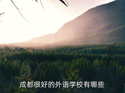 成都很好的外語學校有哪些