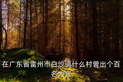 在廣東省雷州市白沙鎮什么村曾出個百名大官
