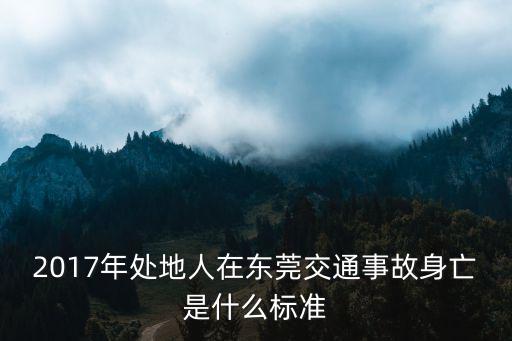 2017年處地人在東莞交通事故身亡是什么標準