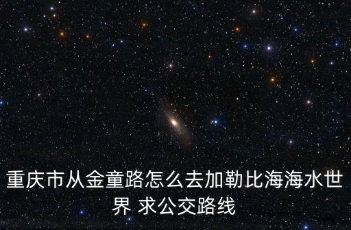 重慶市從金童路怎么去加勒比海海水世界 求公交路線