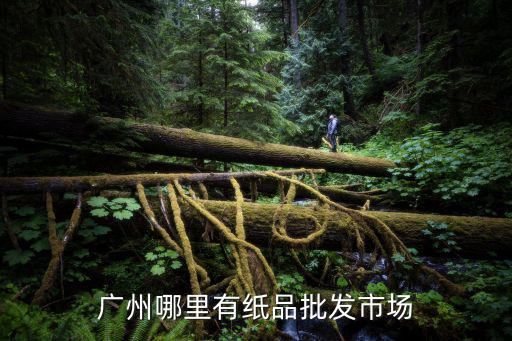 廣州哪里有紙品批發市場