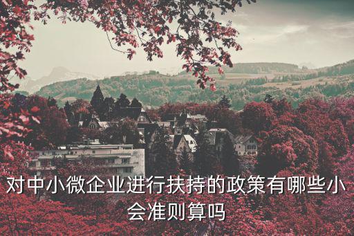 對中小微企業進行扶持的政策有哪些小會準則算嗎