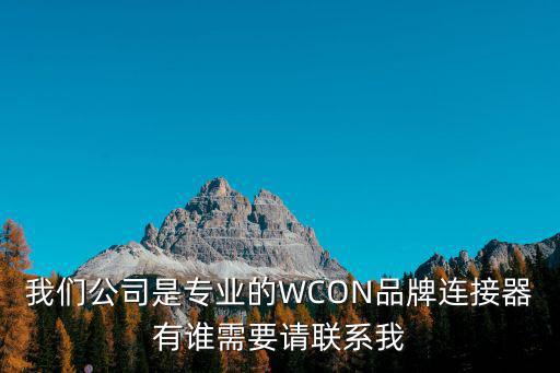 我們公司是專業的WCON品牌連接器有誰需要請聯系我