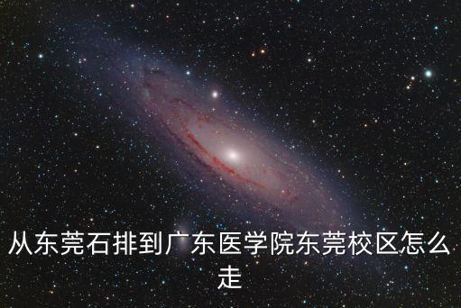 從東莞石排到廣東醫學院東莞校區怎么走