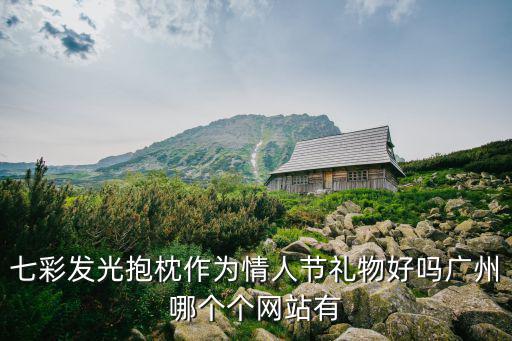 七彩發(fā)光抱枕作為情人節(jié)禮物好嗎廣州哪個個網(wǎng)站有