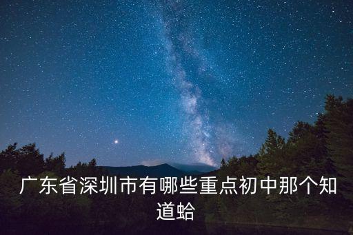  廣東省深圳市有哪些重點初中那個知道蛤