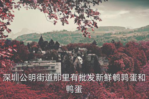 深圳公明街道那里有批發(fā)新鮮鵪鶉蛋和鴨蛋