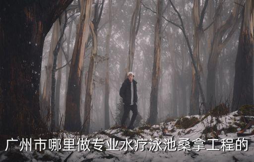 廣州市哪里做專業(yè)水療泳池桑拿工程的