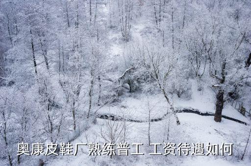 廣州奧康鞋業股份有限公司待遇怎么樣，奧康的待遇怎么樣請有經驗的朋友詳細分享一下