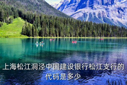 上海松江洞涇中國建設銀行松江支行的代碼是多少