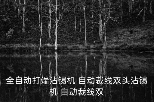 東莞晟軒自動(dòng)化科技有限公司，東莞市那個(gè)自動(dòng)化公司技術(shù)比較好