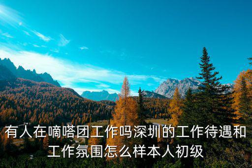 有人在嘀嗒團工作嗎深圳的工作待遇和工作氛圍怎么樣本人初級
