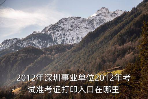 2012年深圳事業(yè)單位2012年考試準(zhǔn)考證打印入口在哪里