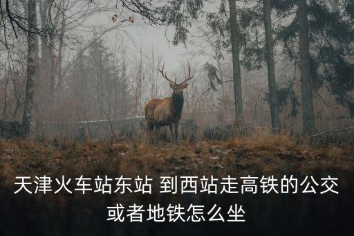 天津火車站東站 到西站走高鐵的公交或者地鐵怎么坐