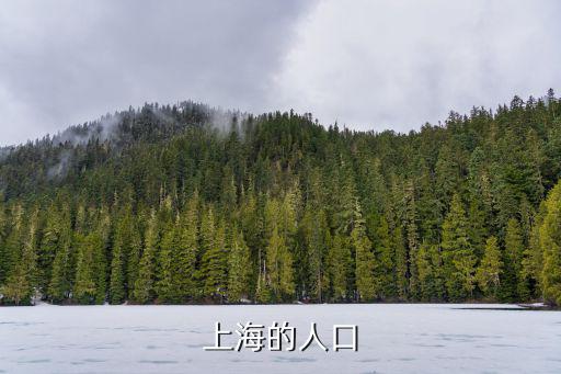 上海的人口