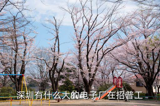 深圳政程電子，深圳有什么大的電子廠在招普工