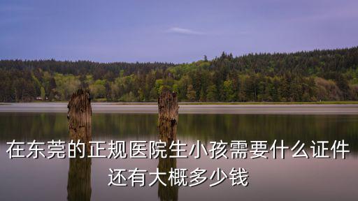在東莞的正規(guī)醫(yī)院生小孩需要什么證件還有大概多少錢