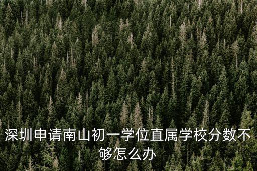 深圳申請南山初一學位直屬學校分數不夠怎么辦