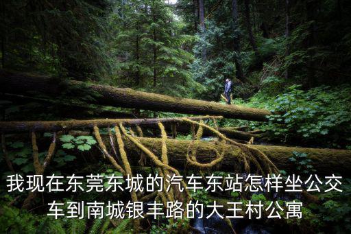 我現(xiàn)在東莞東城的汽車東站怎樣坐公交車到南城銀豐路的大王村公寓