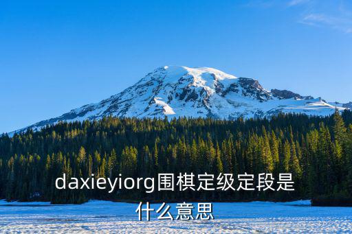 daxieyiorg圍棋定級定段是什么意思