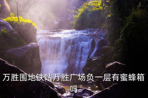 萬勝圍地鐵站萬勝廣場負一層有蜜蜂箱嗎