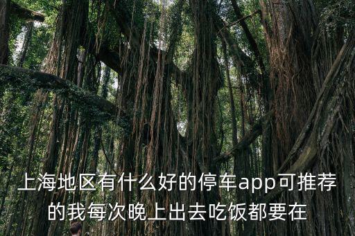 上海市最新停車，現(xiàn)在上海市區(qū)一搬般停車多少錢一個小時
