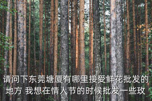 請問下東莞塘廈有哪里接受鮮花批發的地方 我想在情人節的時候批發一些玫