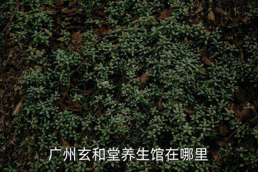 廣州玄和堂養(yǎng)生館在哪里