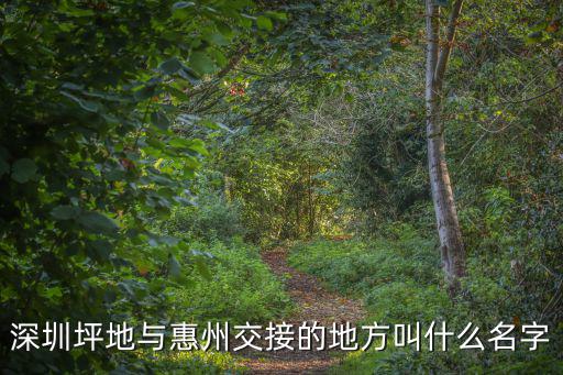 深圳坪地與惠州交接的地方叫什么名字
