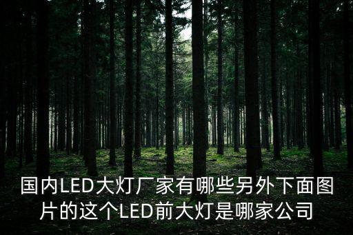 國內LED大燈廠家有哪些另外下面圖片的這個LED前大燈是哪家公司