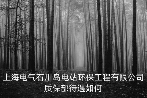 上海電氣石川島電站環保工程有限公司質保部待遇如何