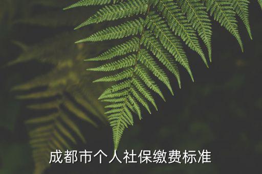成都市個人社保繳費標準