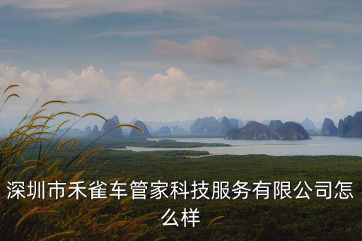 深圳市禾雀車(chē)管家科技服務(wù)有限公司怎么樣