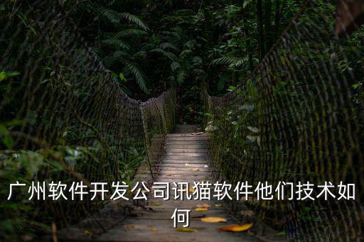 廣州軟件開發公司訊貓軟件他們技術如何